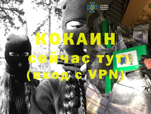 дурь Алзамай